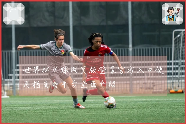 世界杯买球网页版登录官方入口使用指南与平台全面介绍