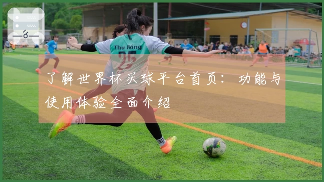 了解世界杯买球平台首页：功能与使用体验全面介绍