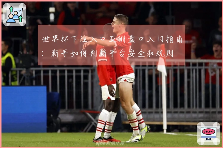 世界杯下注入口亚洲盘口入门指南:新手如何判断平台安全和规则