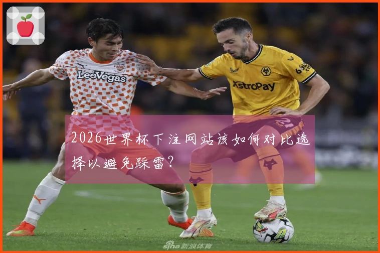 2026世界杯下注网站该如何对比选择以避免踩雷？