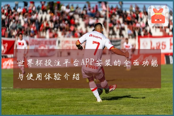 世界杯投注平台APP安装的全面功能与使用体验介绍