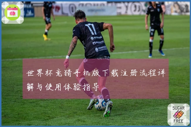 世界杯竞猜手机版下载注册流程详解与使用体验指导