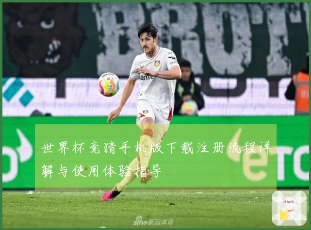 世界杯竞猜手机版下载注册流程详解与使用体验指导