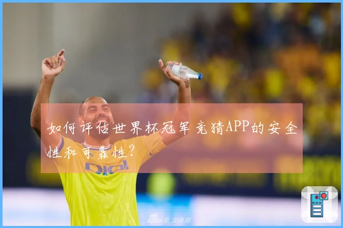 如何评估世界杯冠军竞猜APP的安全性和可靠性?