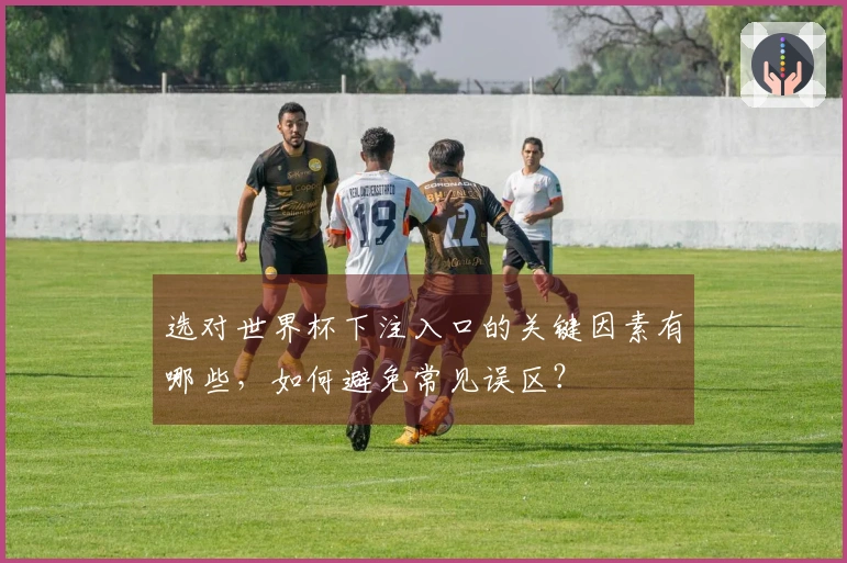 选对世界杯下注入口的关键因素有哪些，如何避免常见误区？