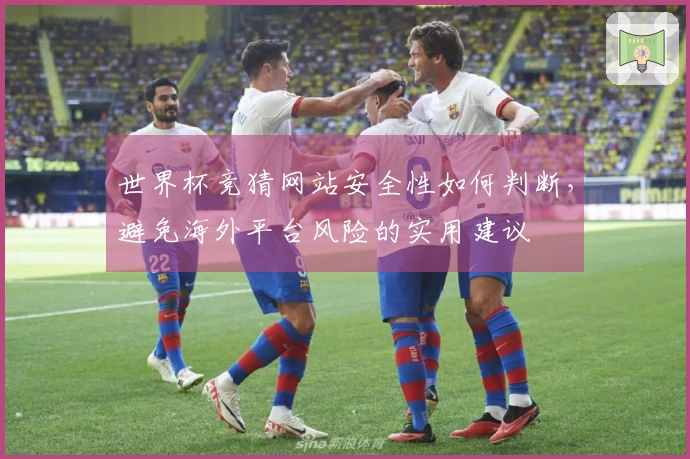 世界杯竞猜网站安全性如何判断，避免海外平台风险的实用建议