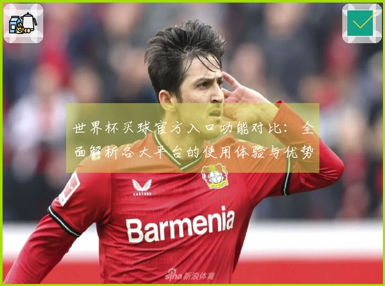 世界杯买球官方入口功能对比:全面解析各大平台的使用体验与优势