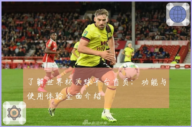 了解世界杯买球平台首页：功能与使用体验全面介绍