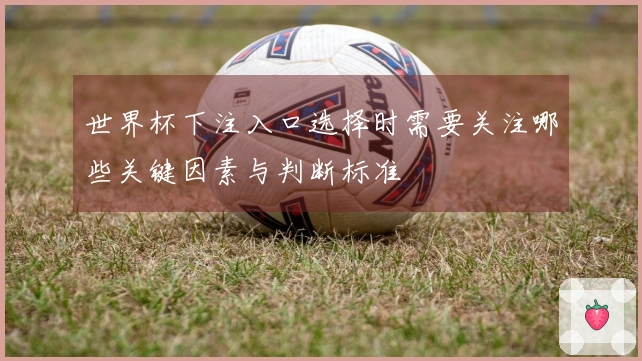 世界杯下注入口选择时需要关注哪些关键因素与判断标准