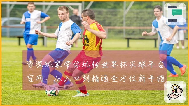 资深玩家带你玩转世界杯买球平台官网，从入口到精通全方位新手指南
