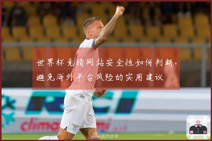 世界杯竞猜网站安全性如何判断,避免海外平台风险的实用建议