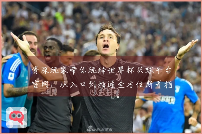 资深玩家带你玩转世界杯买球平台官网，从入口到精通全方位新手指南