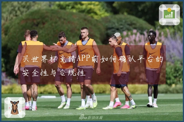 买世界杯竞猜APP前如何确认平台的安全性与合规性