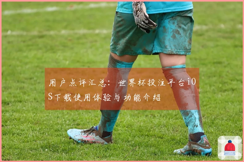 用户点评汇总：世界杯投注平台iOS下载使用体验与功能介绍