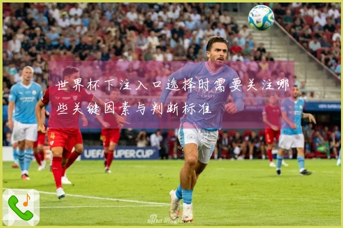 世界杯下注入口选择时需要关注哪些关键因素与判断标准